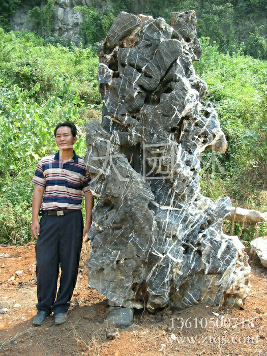 廣東英德·正太園林