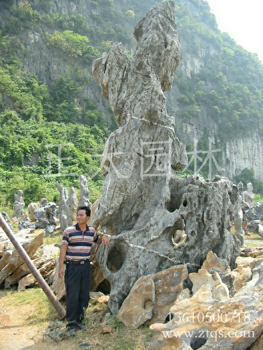 廣東英德·正太園林