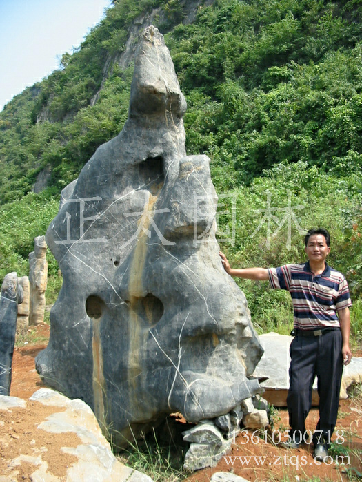 廣東英德·正太園林