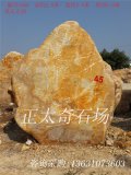 2.8米高立石園林景觀黃蠟石刻字石 編號(hào)1806