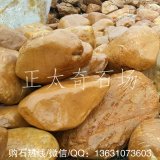 批發(fā)高品質(zhì)黃蠟石 別墅魚(yú)池駁岸黃蠟石 英德黃蠟