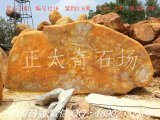  3.6米寬臥石黃蠟石、廣東產(chǎn)地直銷 編號1216