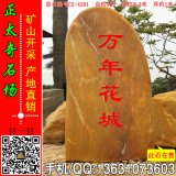  4米高立石廣東景觀石 刻字黃蠟石 編號(hào)C2-4201