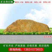  5.2米寬園林黃蠟石 風(fēng)景石 編號U-1700