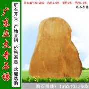 2.6米高廣東黃蠟石 廠家批發(fā)刻字石 編號(hào)A5-2802