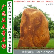  1.8米高立石園林點(diǎn)綴景觀黃蠟石 編號(hào)M-5117