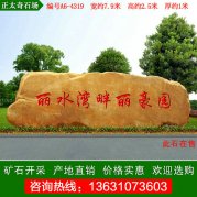  7.9米寬大型黃蠟石 地產(chǎn)刻字景觀石 編號A6-4319