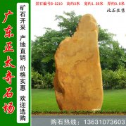 3米高黃蠟石景區(qū)點(diǎn)綴造型景觀石編號(hào)B-3210