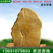 2.9米產(chǎn)地直銷天然黃蠟石 村牌刻字石編號(hào)4509