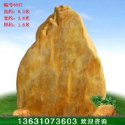 5.3米高大型黃蠟石 村口景區(qū)標(biāo)志石 編號4447